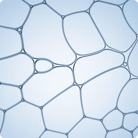 FÓRMULA-PERSONALIZACIÓN03