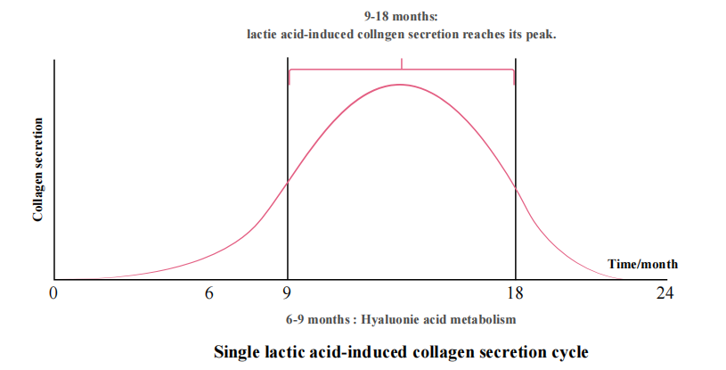 Relleno d&eacute;rmico PLLA Filler para antienvejecimiento