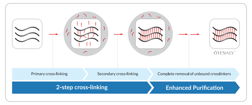 Tecnolog&iacute;a NASHA (&aacute;cido hialur&oacute;nico estabilizado no animal)