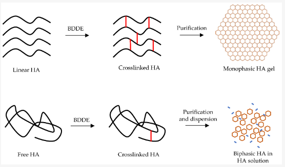 Diagrama comparativo de estructuras moleculares del &aacute;cido hialur&oacute;nico reticulado y no reticulado.
