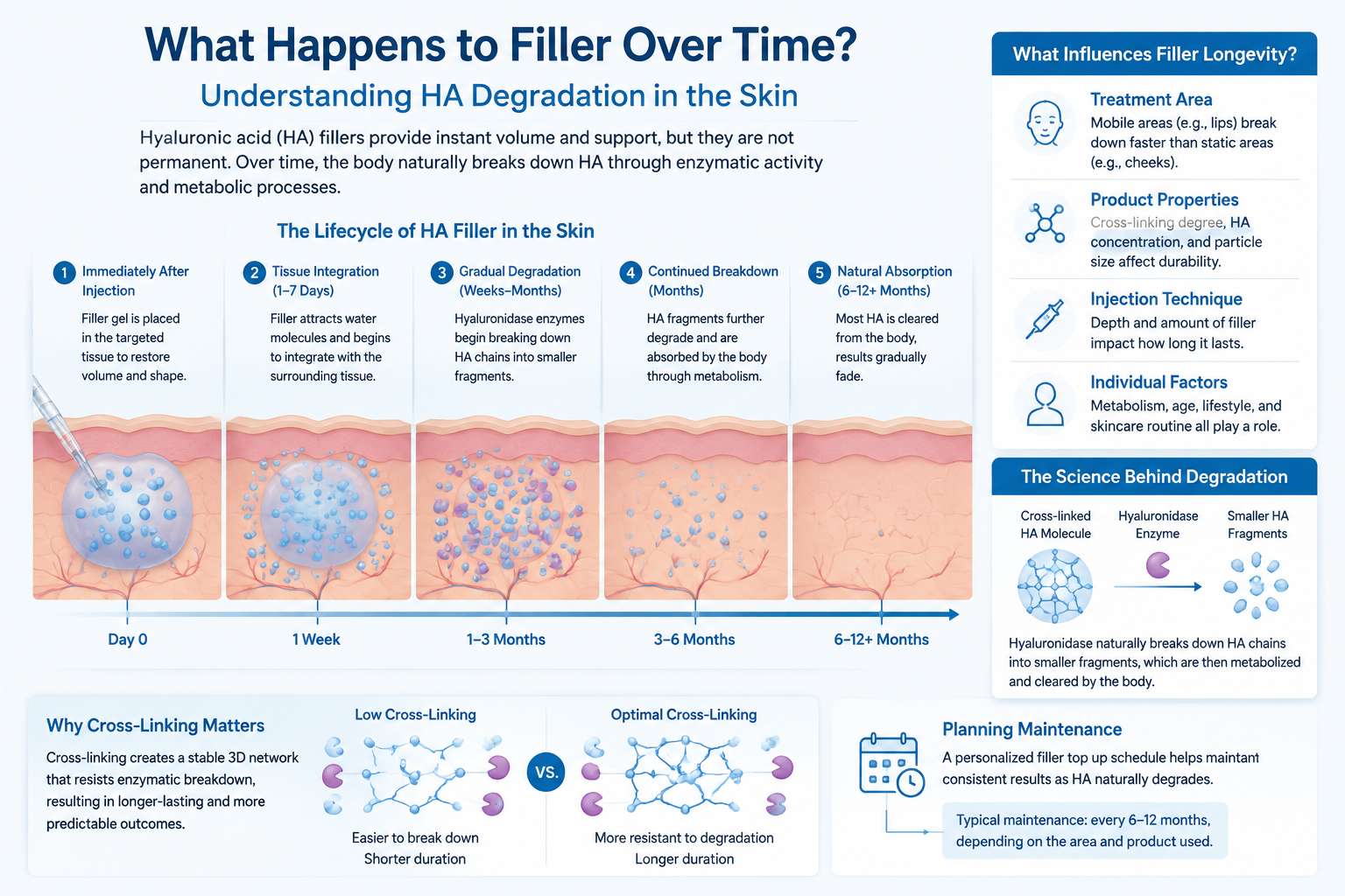 Dermal filler treatment approach and filler top up schedule consultation.jpg